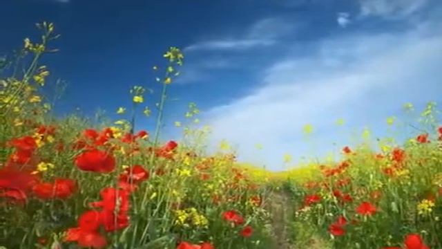 Мулебки братьям смотреть онлайн
