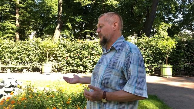 Летний сад. Красный сад. Календула лекарственная. смотреть онлайн