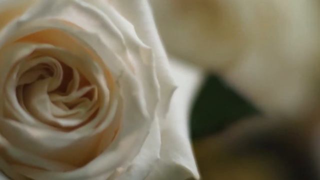 Цветочный дом "ФЛОРЕТС" смотреть онлайн