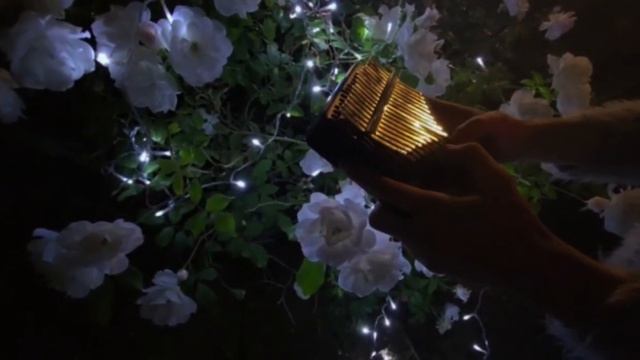 In The Night Garden - Kalimba Cover With Tabs (great For Beginners)