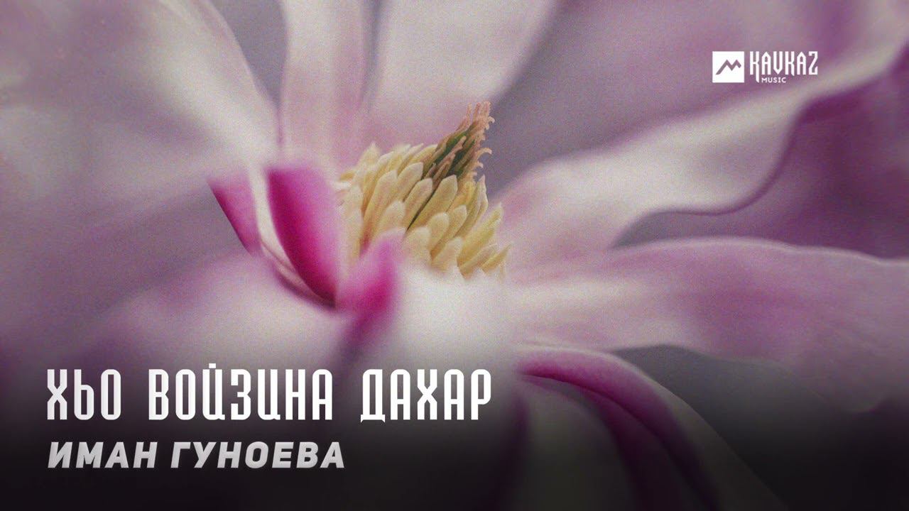 Иман Гуноева - Хьо войзина дахар | KAVKAZ MUSIC CHECHNYA смотреть онлайн