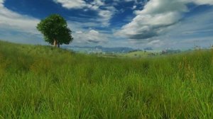 ФУТАЖ Природа, поле, трава