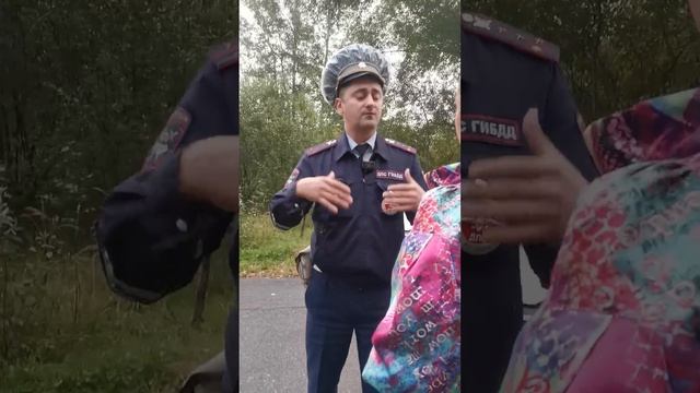 Беспредел полицаев гибдд Ногинского района смотреть онлайн