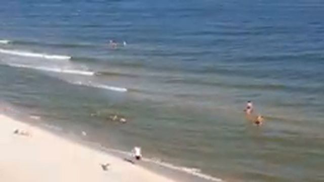 Ветер с моря дул.Морская дискотека с Орешком. смотреть онлайн