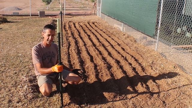 Grow Your Own Chicken Feed |Sustainable Chickens смотреть онлайн