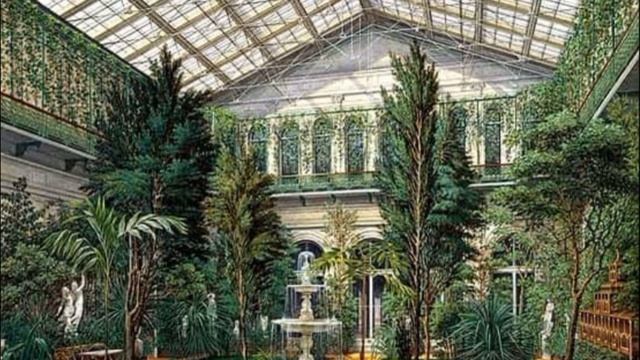 Attalea princeps. Краткое содержание смотреть онлайн