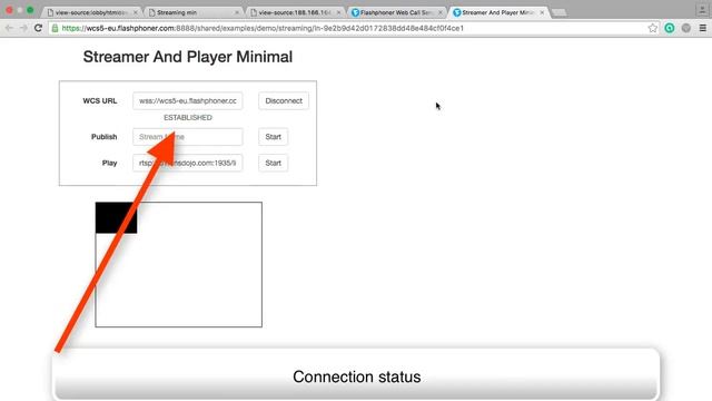 HTML5 RTSP WebRTC Player