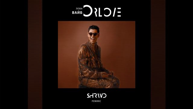 Лови Вайб (Shrwd Remix) смотреть онлайн