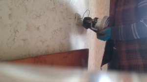 Что будет, если подключить мотор пылесоса к 220в?Что можно сделать из двигателя от пылесоса?