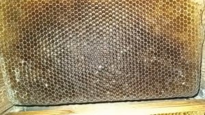 Народный улей Варрэ. Улей Варрэ изнутри | Полный обзор. Достоинства и недостатки