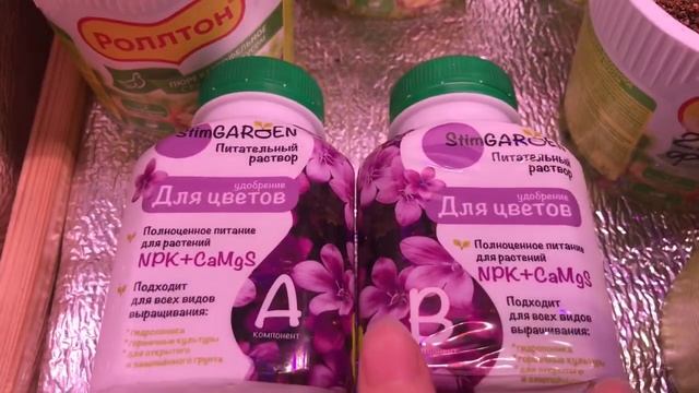 История 3 месячной эустомы смотреть онлайн