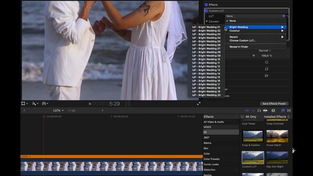 BRIGHT WEDDING LUTs | Premiere Pro LUTs | Photoshop Presets | Final Cut Pro LUTs | LUTs for free VN смотреть онлайн