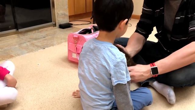 I GOT A KITTEN! ? смотреть онлайн