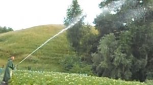 трактор Т-16 универсальный