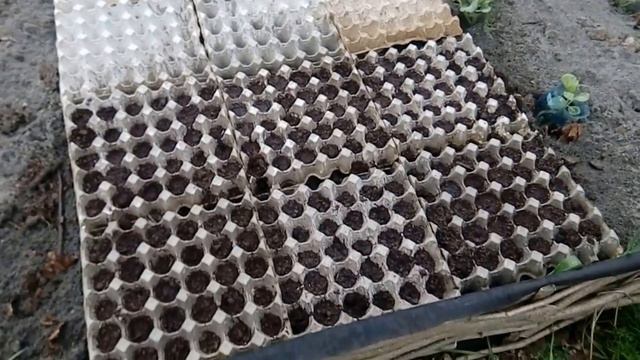 Посадка редиса. Очень удобный способ. смотреть онлайн