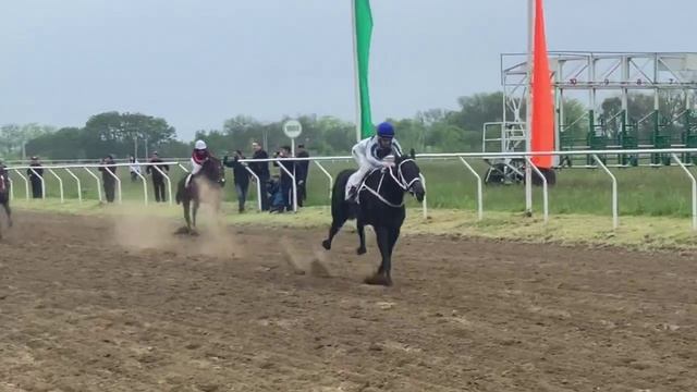 Скачки в Майкопе смотреть онлайн