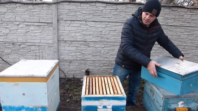 Какой улей лучше. Наш выбор улья рогатый улей Паливоды. 10-рамочный Дадан с магазинами на 145 рамку смотреть онлайн