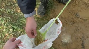 Обслуживание станции биологической очистки. ТАКОГО НИКТО НЕ ПОКАЖЕТ!