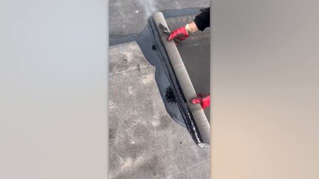 Они не Знали, Что Их Снимает Камера, и Сделали Это. 200 Невероятных Моментов смотреть онлайн