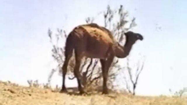 Работа рук и творческий подход