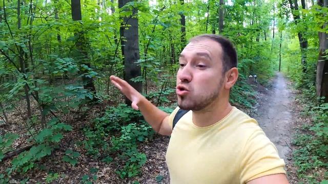 Муравьи съели Курицу / Муравьиная ферма разбежалась по дому / у хасмут новые питомцы смотреть онлайн