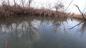 рыбалка в декабре 50м от дома Курчанский лиман Краснодарский край