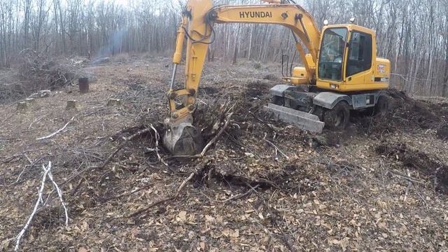 Корчевание пней на участке в лесу. Участки многодетным. Благоустройство участка с нуля. Стройка век смотреть онлайн