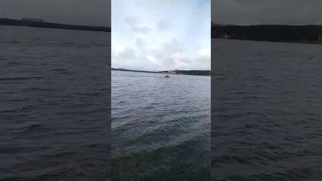 Лодка пвх. Обзор лодки Альтаир 320 НД часть 3 на воде. смотреть онлайн