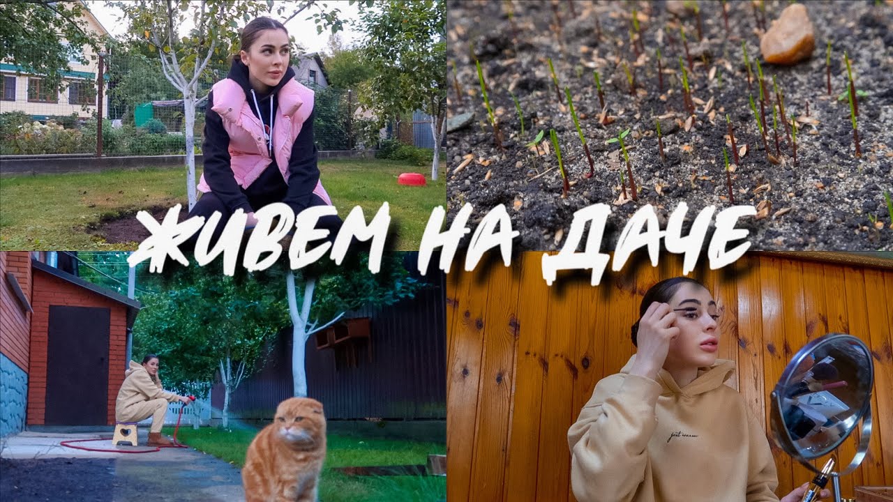 #ЖивемНаДаче 24 || ПОШЛА ТРАВА | ОТВЕЧАЮ НА КОММЕНТАРИИ | УДАЛЯЕМ СОРНЯКИ смотреть онлайн