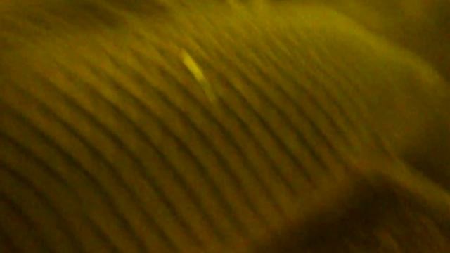 Самые красивые выходы Сома Щуки Карпа и Карася подводная охота рыбалка на видео смотреть онлайн