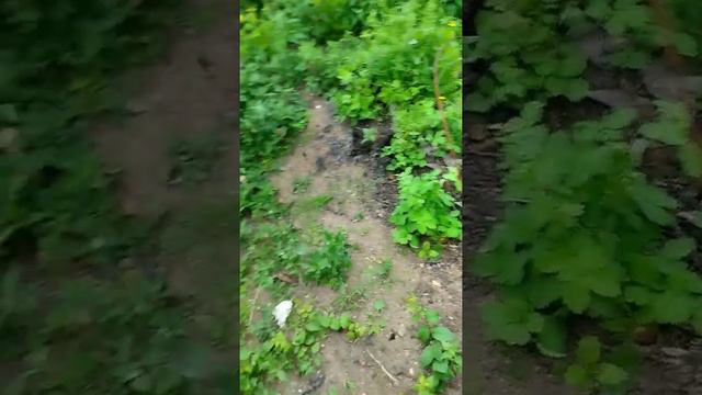 время эпичного влога, там такое досмотри до конца смотреть онлайн