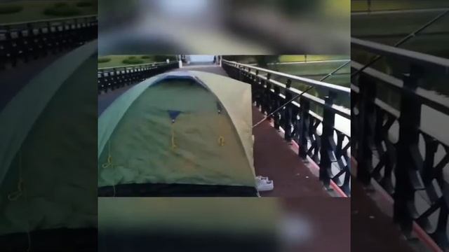 Ловля рыбы на Нижнем пруду в Калининграде смотреть онлайн