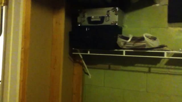 King Kong Constrictors Ball Python project video log part 1 смотреть онлайн