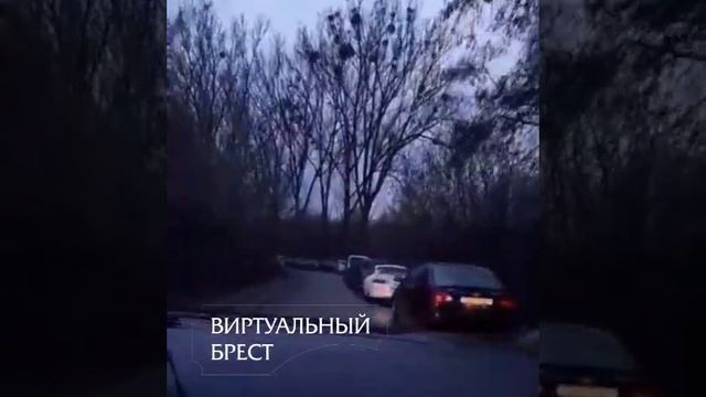 Cкопление легковушек фиксируется перед польским пунктом пропуска "Тересполь" смотреть онлайн