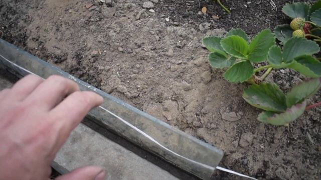 Теперь мои грядки не сгниют. Вечные стеклянные грядки своими руками или до чего доводит ХАЛЯВА. смотреть онлайн