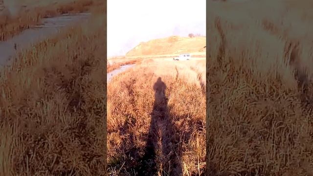 УАЗ и КИА Спортейдж смотреть онлайн