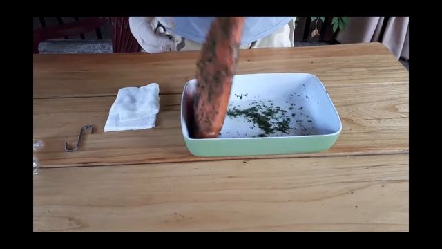 Приключения на Воде