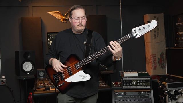 Gibson Thunderbird Bass Guitar Demo [NO TALKING] смотреть онлайн