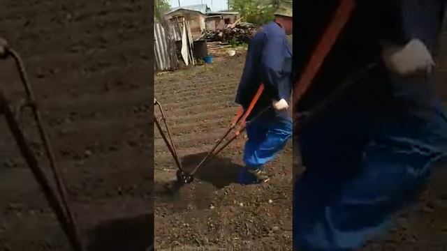 Посадка картофеля с использованием окучника ручного Союз. смотреть онлайн