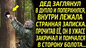 Дед побледнел, увидев записку в дупле, прочитав её он ужаснулся и помчался на помощь...