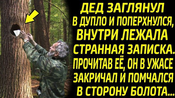 Дед побледнел, увидев записку в дупле, прочитав её он ужаснулся и помчался на помощь...