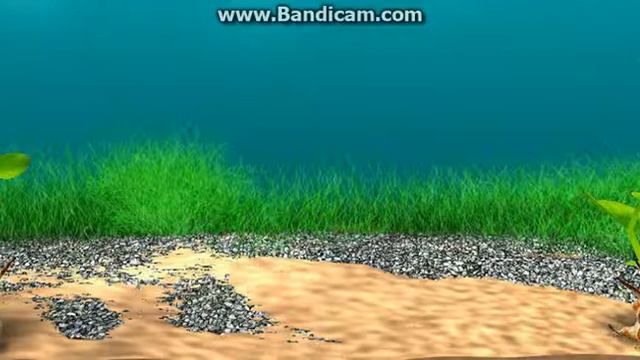 видеофон аквариум смотреть онлайн