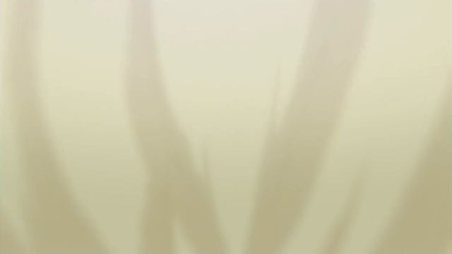 Хантер Х Хантер за 25 минут ч3