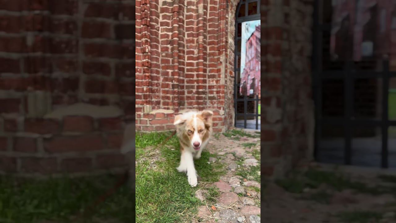 22 августа 2024 г. смотреть онлайн