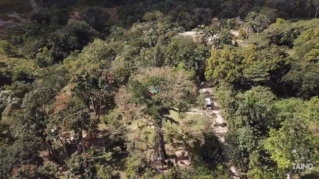 Yanigua Spa + Montaña Redonda + Parque Nacional Los Haitises смотреть онлайн