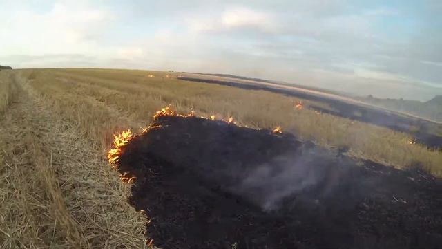 Горит стерня смотреть онлайн