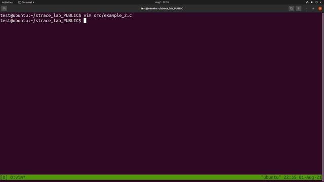 Binary Analysis with Strace смотреть онлайн
