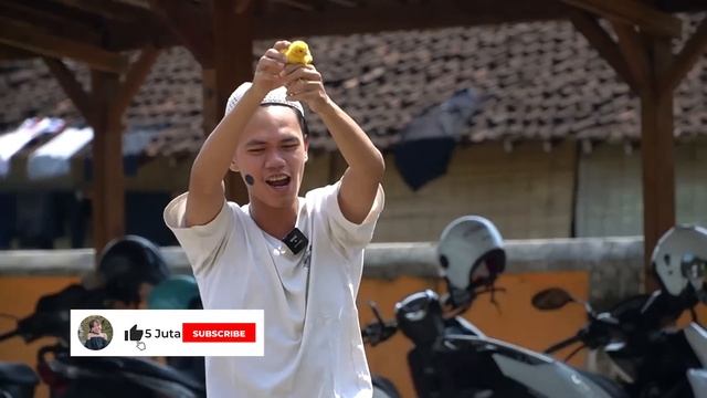 LEIKA BORONG AYAM WARNA WARNI VS TOMPEL RAWAT AYAM WARNA WARNI ? LEIKA KAYA VS MISKIN TOMPEL смотреть онлайн