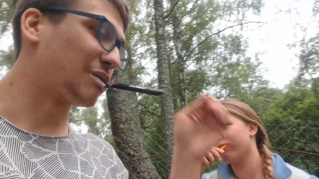 Влог: кемпинг на природе с друзьями🏕 // песни под гитару и много пения!🎶 смотреть онлайн