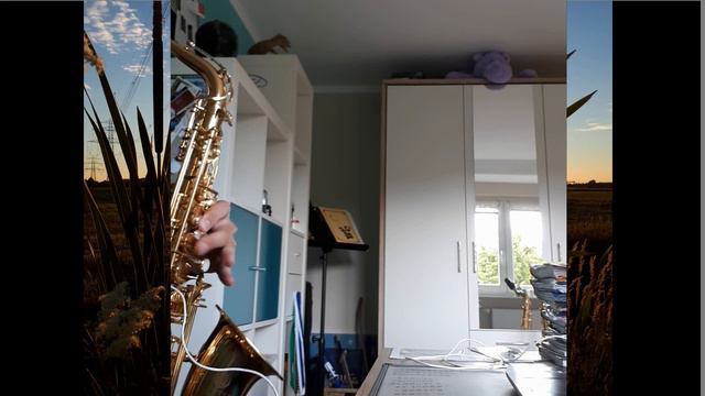 Cinema Paradiso(Ennio Morricone)- Alto Sax Cover смотреть онлайн